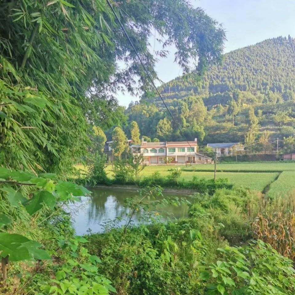 东莞**机械工厂