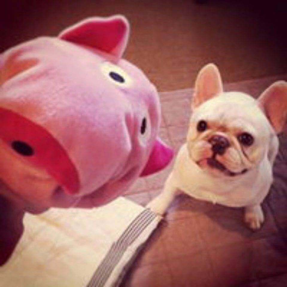 惠州市**塑料有限公司